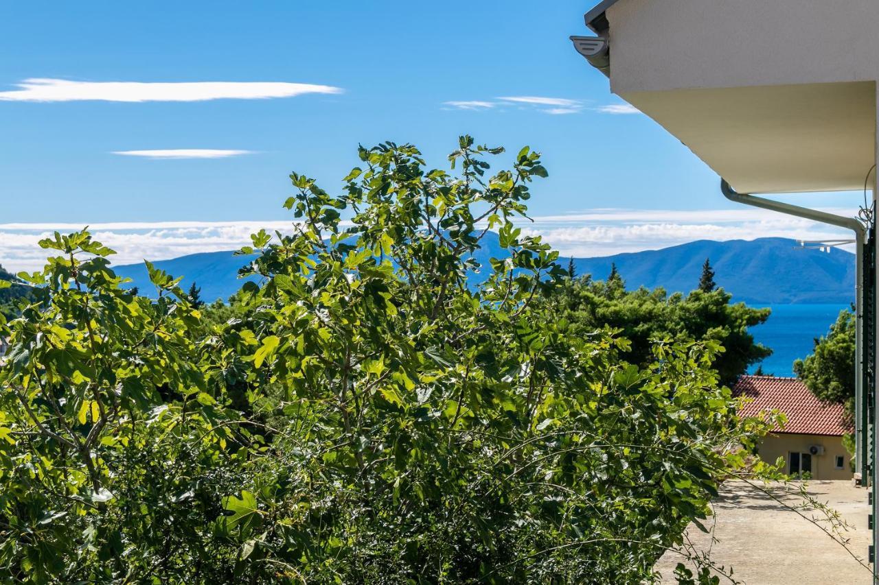Apartments With A Parking Space Gradac, Makarska - 14708 Luaran gambar